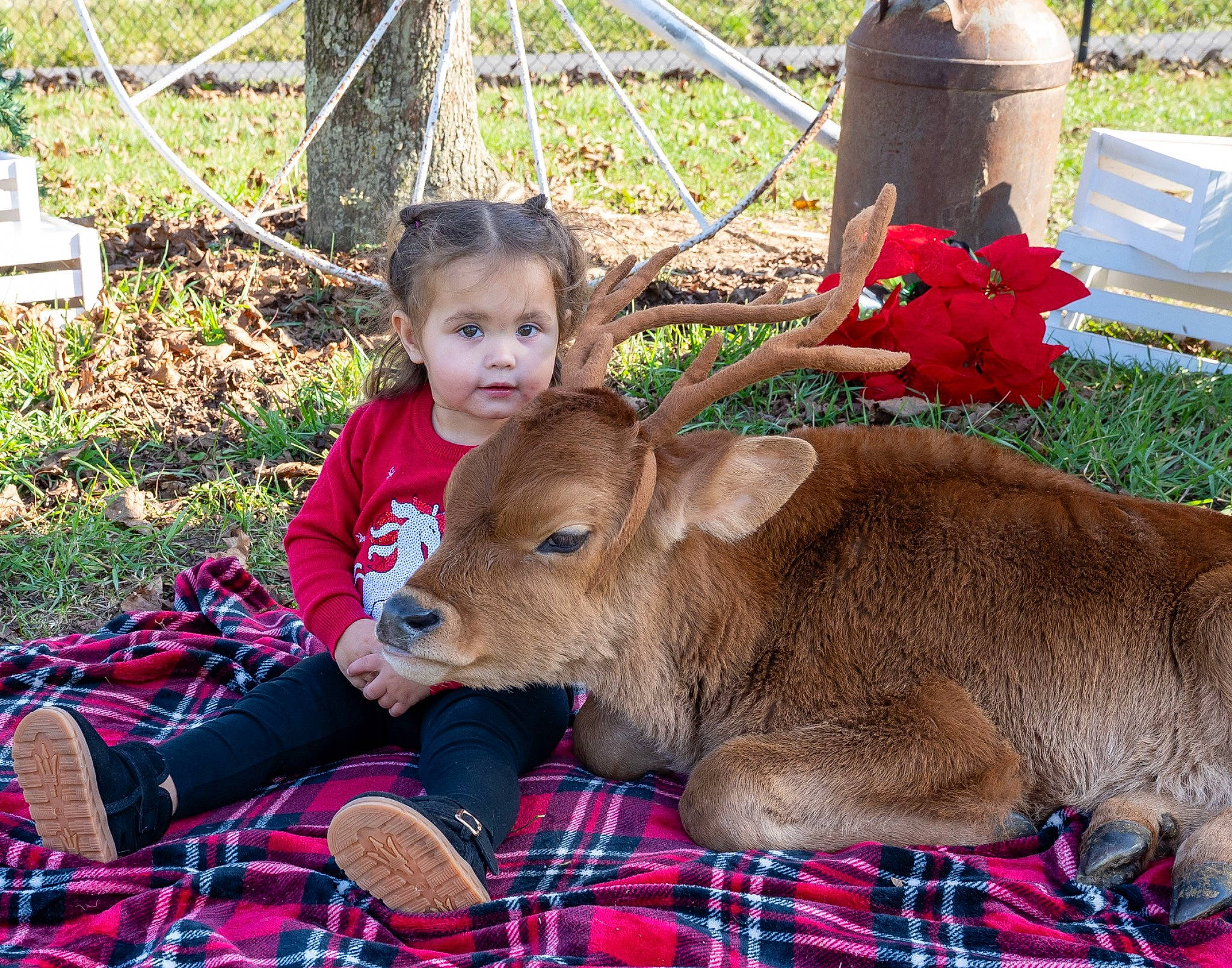 Alyvia is registered to the contest to win money with this photo: deer, event, fawn, fun, fur, grass, groundcover, horn, leisure, livestock, pattern, person, plaid, plant, recreation, sharing, spring, tartan, terrestrial_animal, toddler
