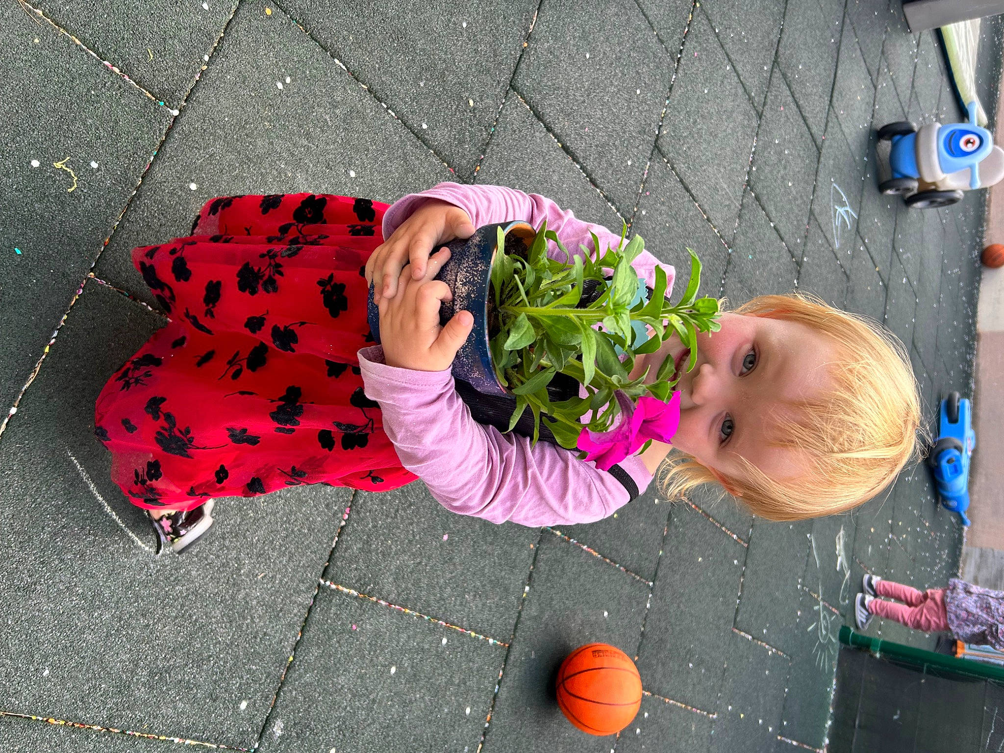 Milana participe au concours pour gagner de l'argent avec cette photo : asphalt, ball, child, flooring, fun, grass, happy, human_body, human_leg, leisure, magenta, person, pink, plant, purple, road_surface, sidewalk, sitting, thigh, toddler