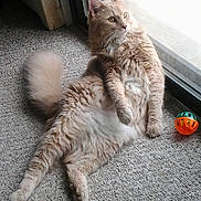 Tanner joined the competition — help win amazing prizes!