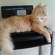 Tanner is registered to the contest to win money with this photo: