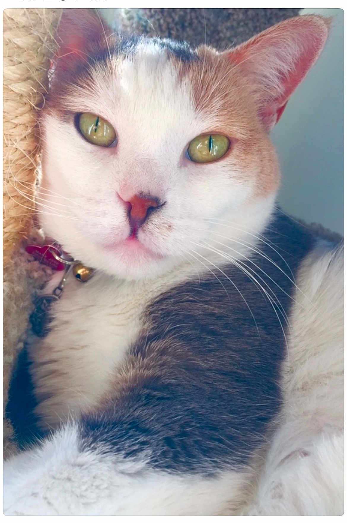 Mary Jane