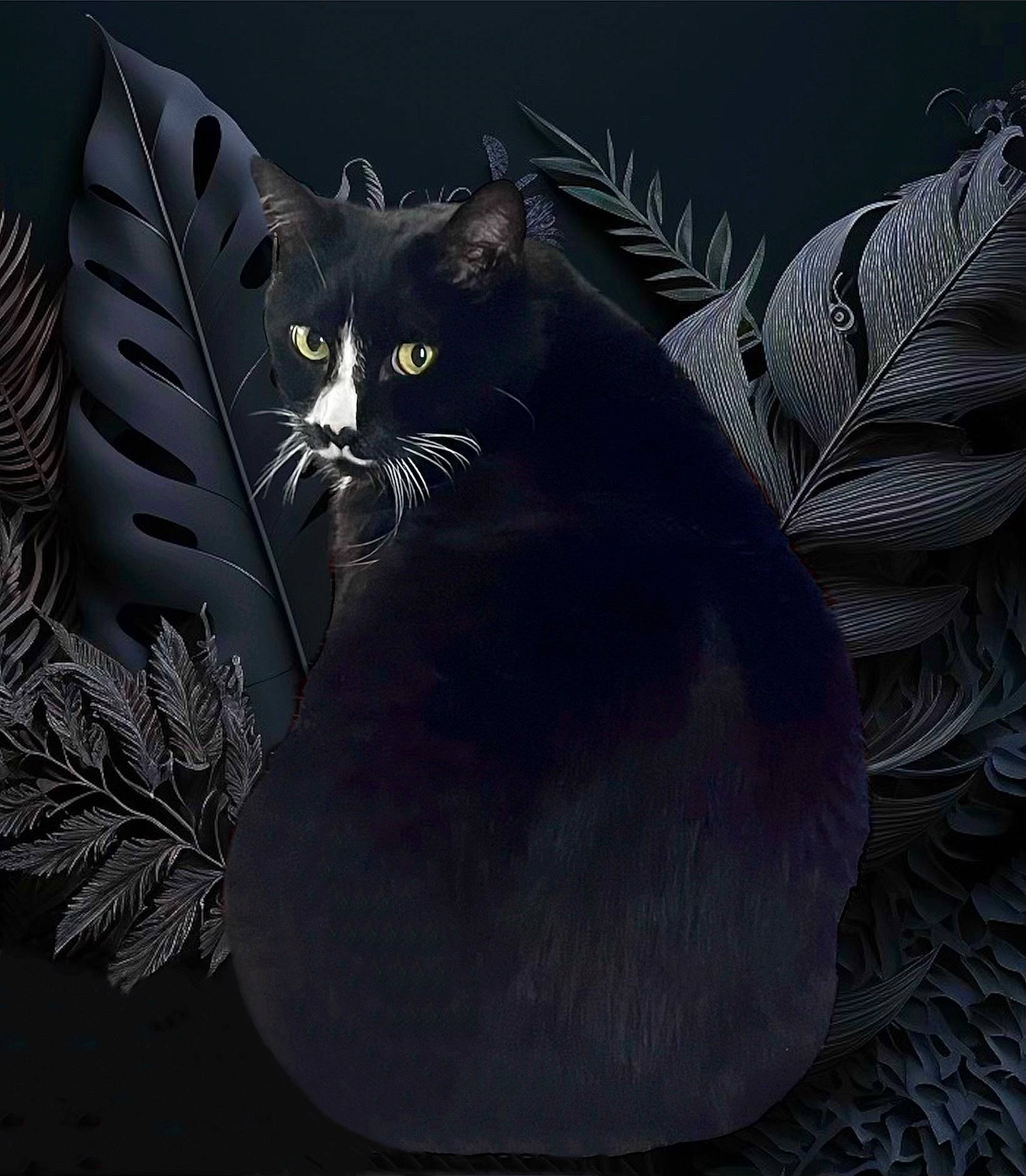 Bishop is registered to the contest to win money with this photo: art, black_cat, carnivore, cat, darkness, domestic_short_haired_cat, felidae, fur, graphics, grey, illustration, painting, pattern, plant, small_to_medium_sized_cats, snout, tail, terrestrial_animal, whiskers, window