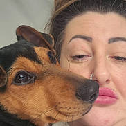 Dexter joined the competition — help win amazing prizes! animal, black, brown, casual, close_up, companion, cuddle, dog, expression, eyebrows, face, fur, hair, indoor, lip_piercing, nose_ring, paw, person, pet, portrait