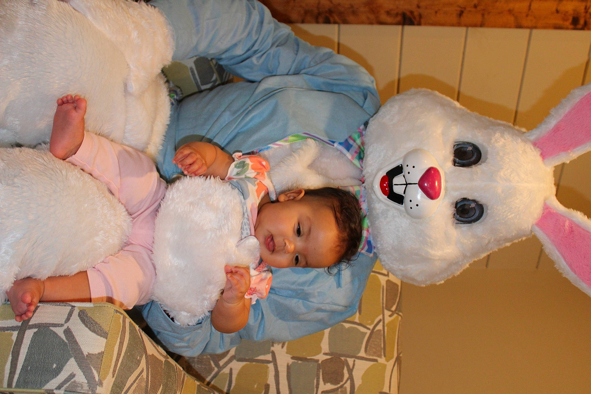 Honesty is registered to the contest to win money with this photo: baby, baby_products, baby_sleeping, baby_toddler_clothing, baby_toys, cheek, child, comfort, fur, head, mammal, organ, person, product, room, sleep, textile, toddler, toy