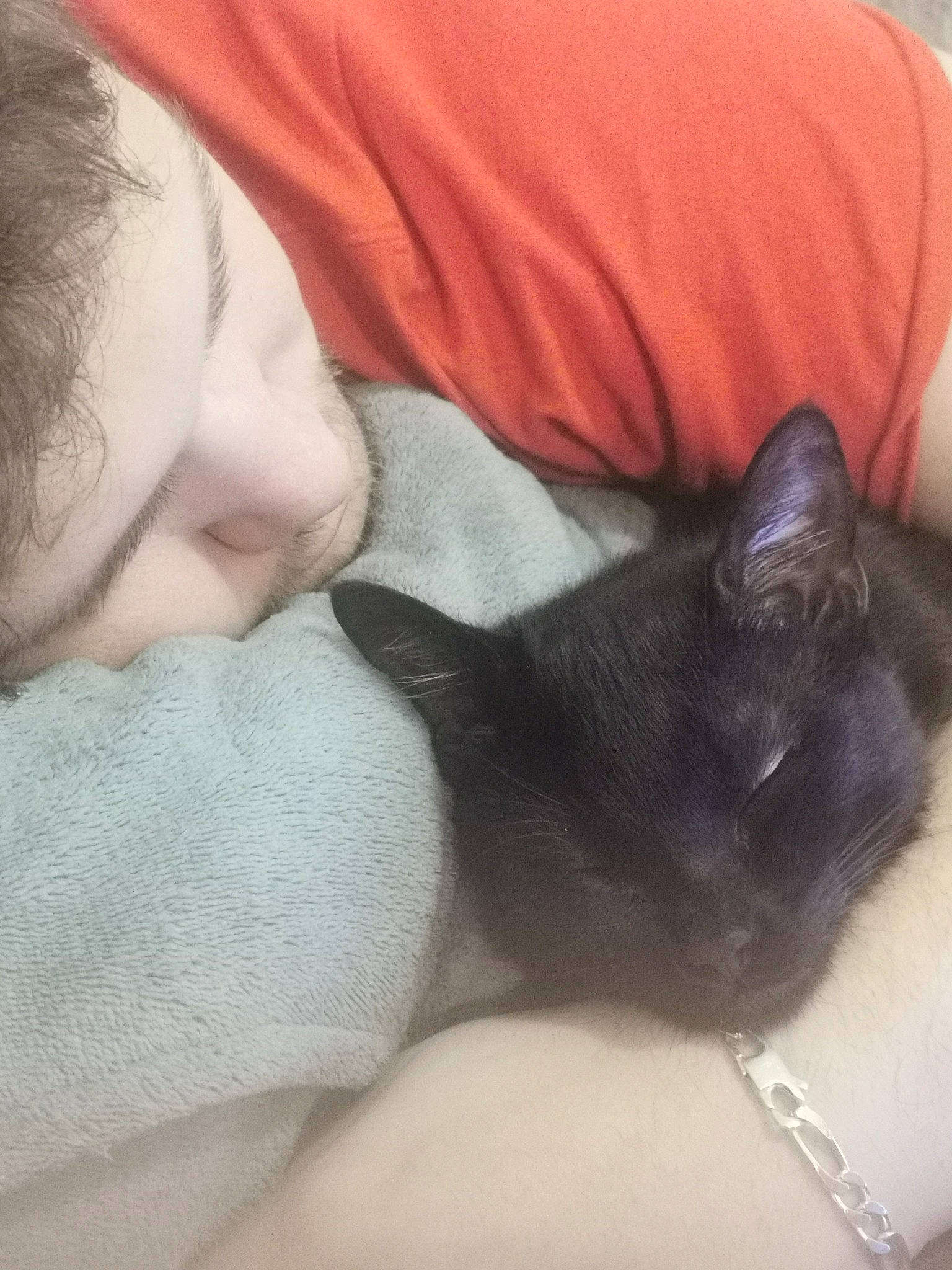 Chalix a rejoint le concours — aidez-le/la à gagner de superbes lots ! beard, black_cat, carnivore, cat, comfort, companion_dog, dog_breed, ear, fawn, felidae, finger, gesture, hair, human_leg, lap, nose, organ, small_to_medium_sized_cats, snout, whiskers