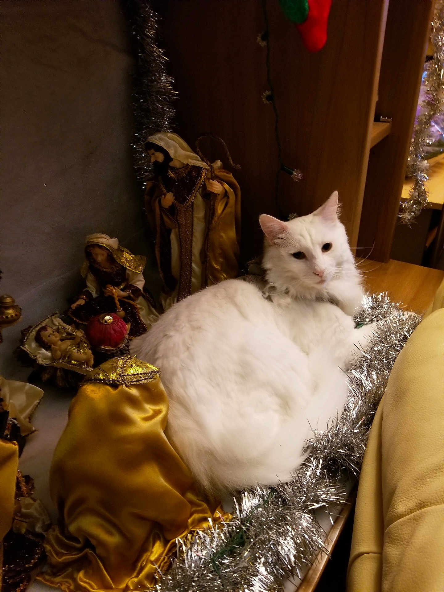 Lulu