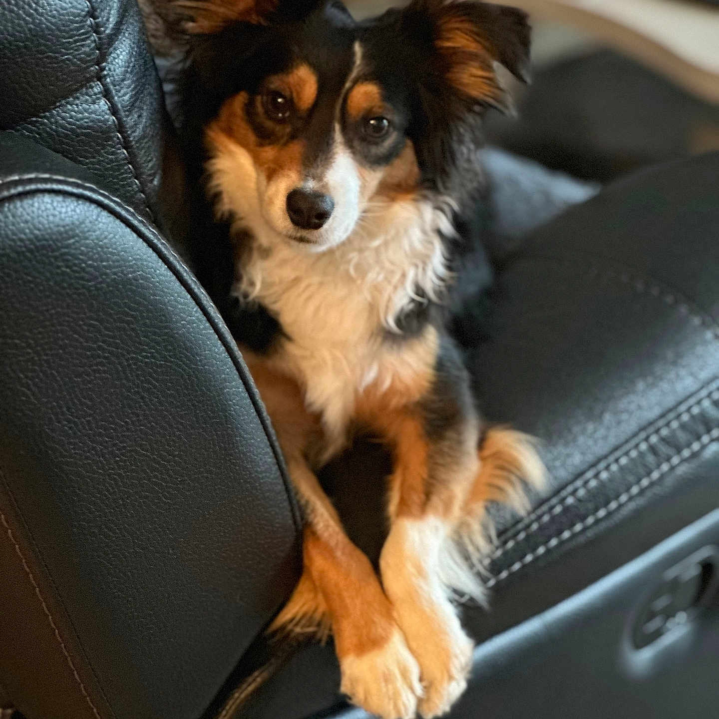 Ullie