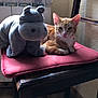 cat, tabby_cat, stuffed_animal, hippopotamus_toy, chair, cushion, wooden_furniture, indoor, window, natural_light, relaxed, pet, animal, floor_tiles, resting, cozy, domestic, cute, plush, feline