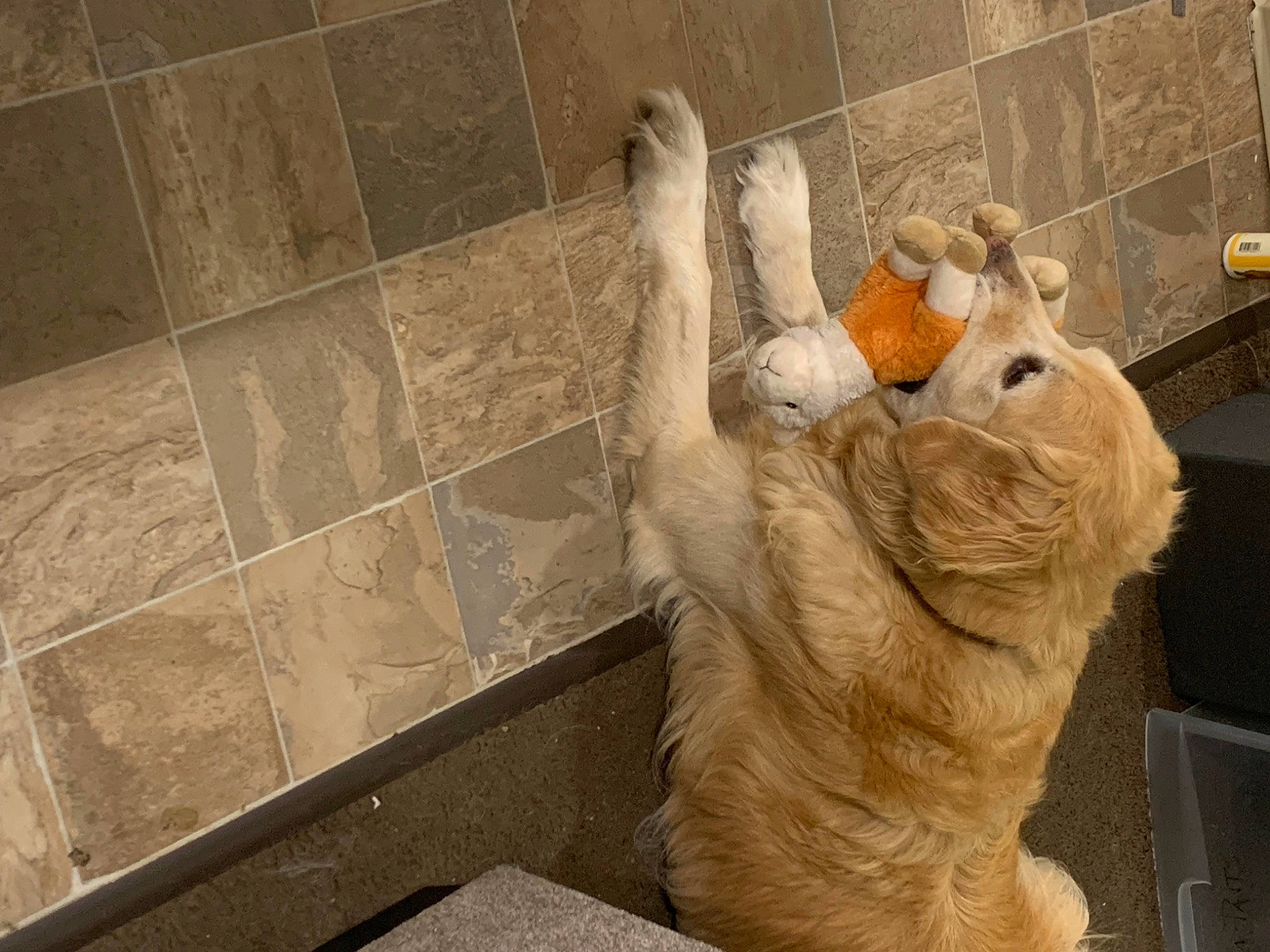 Jackson is registered to the contest to win money with this photo: art, artifact, clay, fawn, felidae, flooring, foot, fur, gesture, hand, human_leg, plaster, sculpture, small_to_medium_sized_cats, snout, statue, tail, visual_arts, whiskers, wood