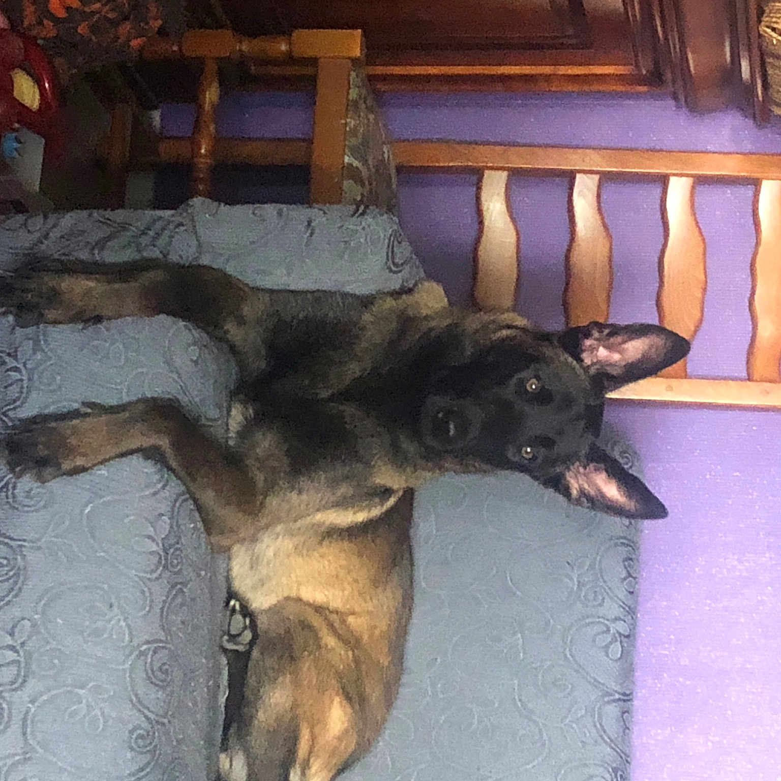Skyli