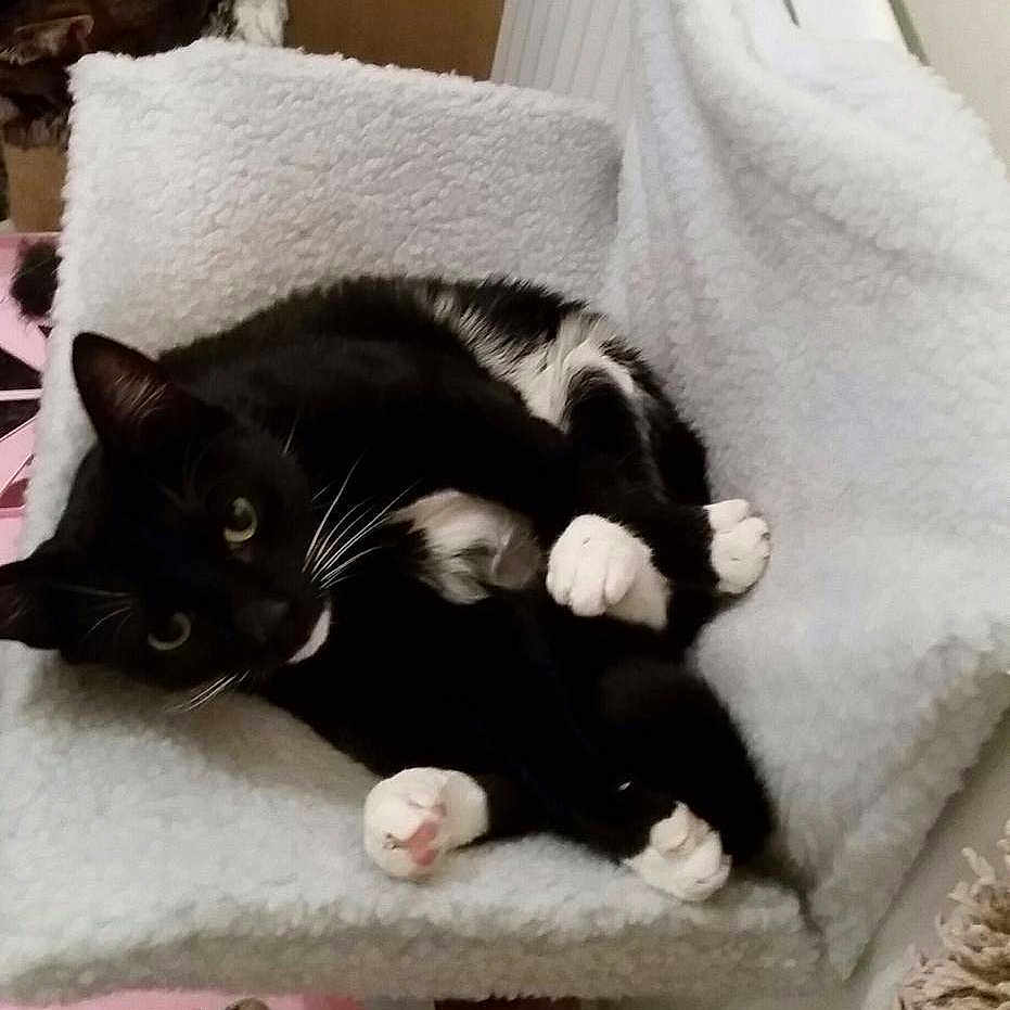 Marley