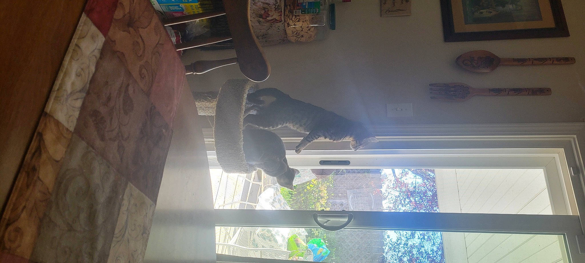 Noah Greyson Princey is registered to the contest to win money with this photo: art, building, daylighting, door, flooring, glass, hardwood, house, light, line, metal, room, sculpture, shade, statue, tints_and_shades, tree, window, window_treatment, wood