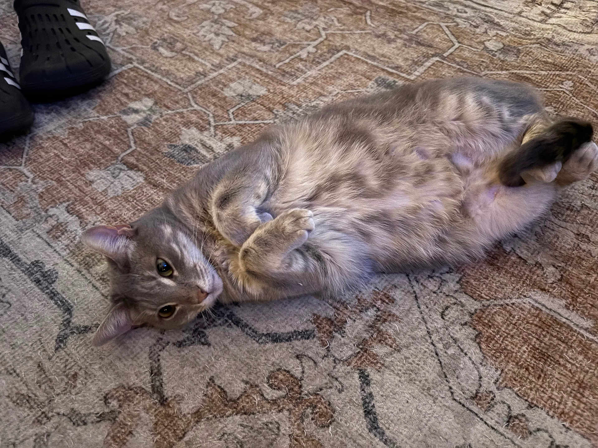 Luna