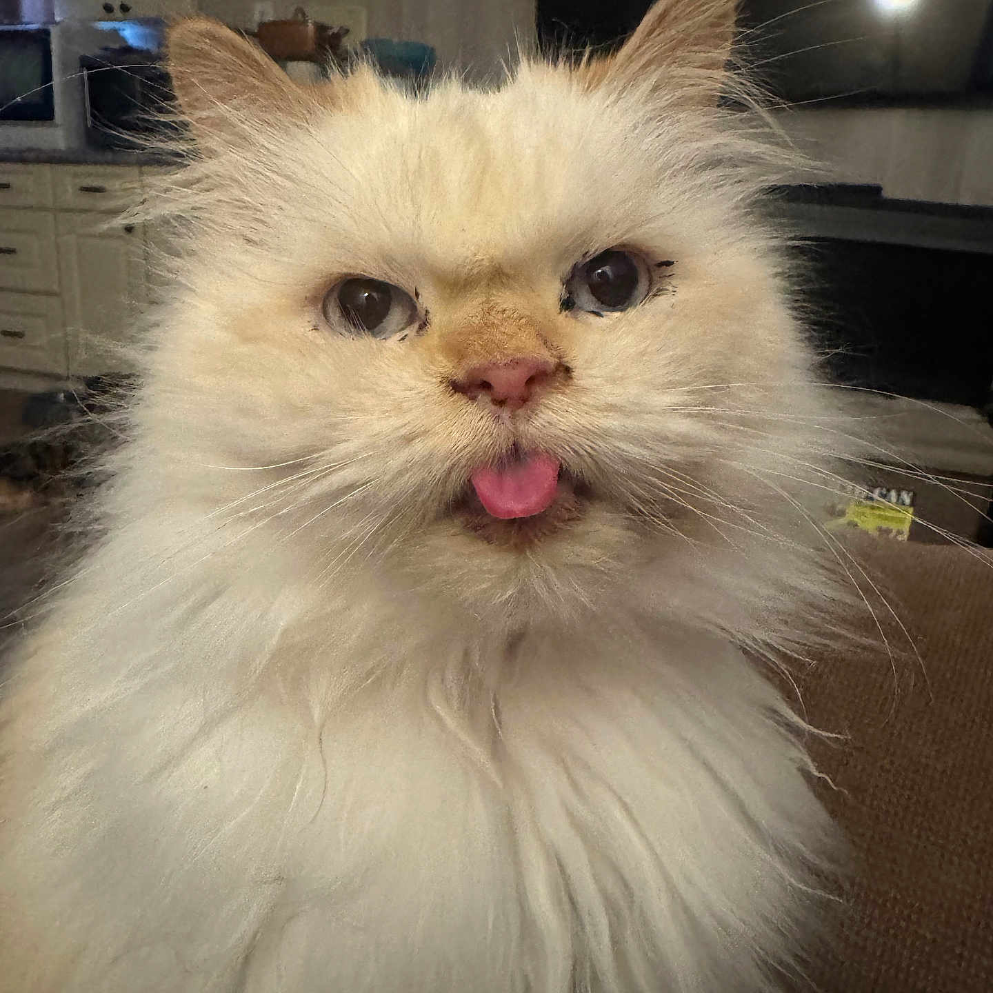 Rupert