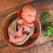 Timéo participe au concours pour gagner de l'argent avec cette photo : baby, blanket, bowl, cozy, face, greenery, hands, infant, newborn, portrait, potted_plant, props, rustic, studio_photo, swaddled, toes, top_down, wood_floor, wooden_bowl, wrap