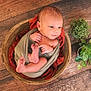 baby, blanket, bowl, cozy, face, greenery, hands, infant, newborn, portrait, potted_plant, props, rustic, studio_photo, swaddled, toes, top_down, wood_floor, wooden_bowl, wrap