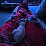 Blanche Neige participe au concours pour gagner de l'argent avec cette photo : animal, blanket, blue_light, cat, couch, cozy, foot, home, indoor, kitten, legs, living_room, nighttime, patterned_blanket, paw, person, red, relaxing, tail, television