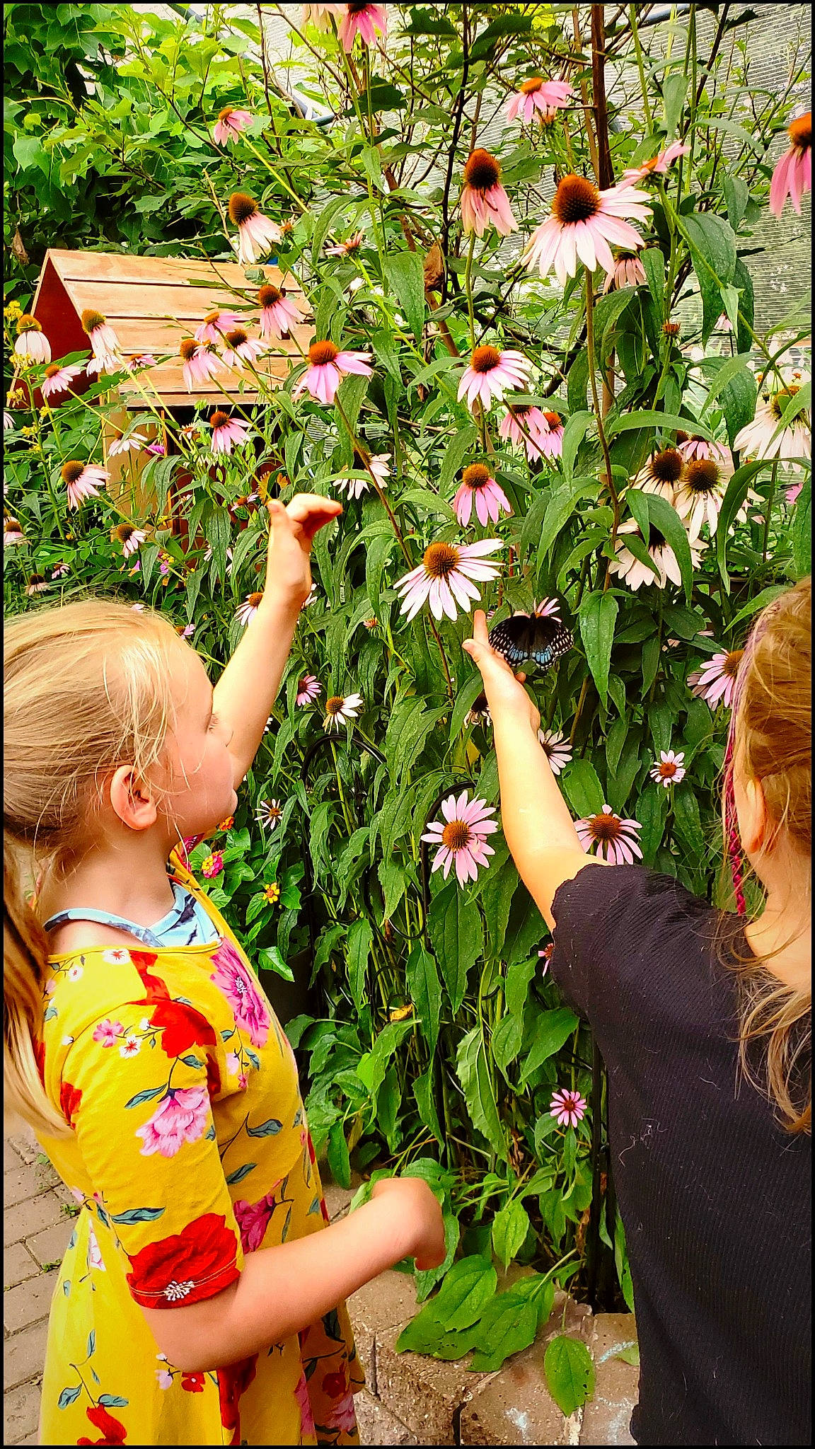 Harlee joined the competition — help win amazing prizes! annual_plant, botany, floral_design, flower, flowering_plant, garden, gesture, grass, green, happy, meadow, people_in_nature, person, petal, plant, plantation, rose_family, shrub, spring, toddler