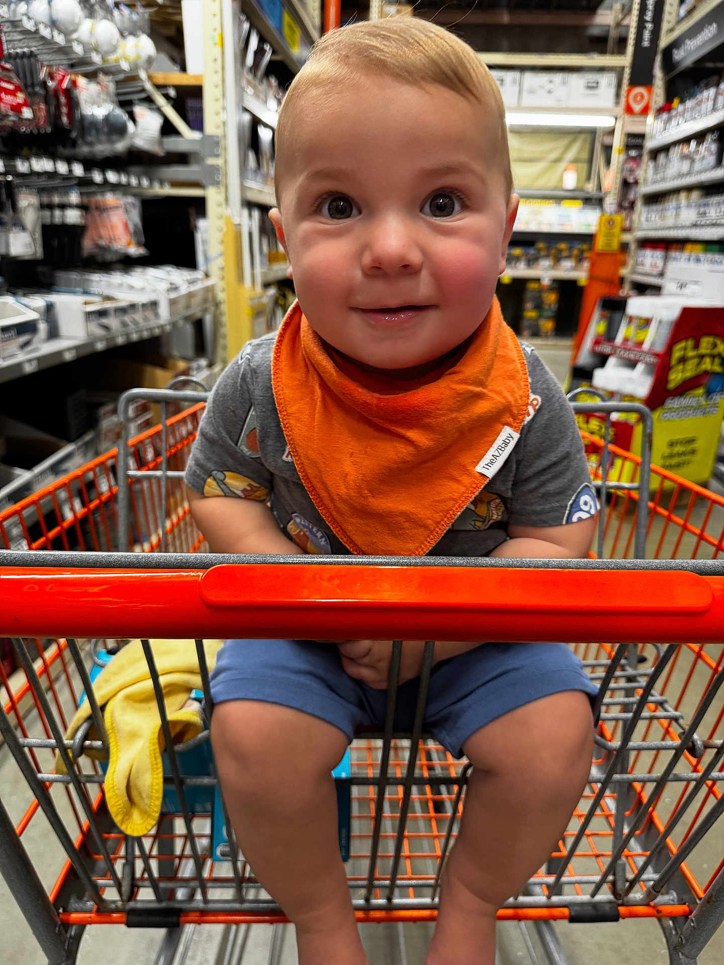 Cade joined the competition — help win amazing prizes! toddler, child, shopping_cart, orange_bib, hardware_store, aisle, curious_eyes, shorts, grey_shirt, baby, indoor, store_shelves, retail, shopping, young_child, person, cart, cute, smiling, infant