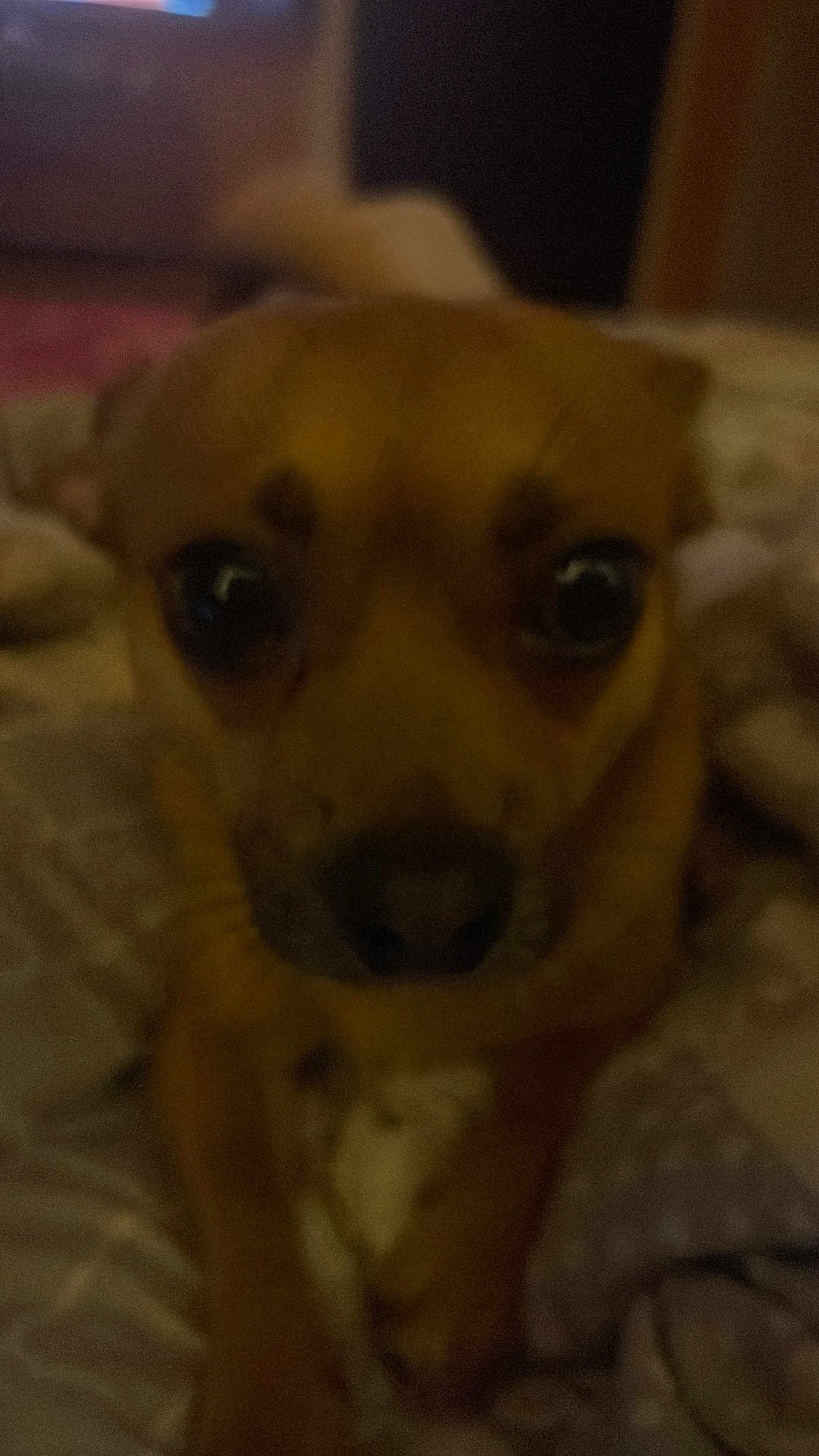 Peewee