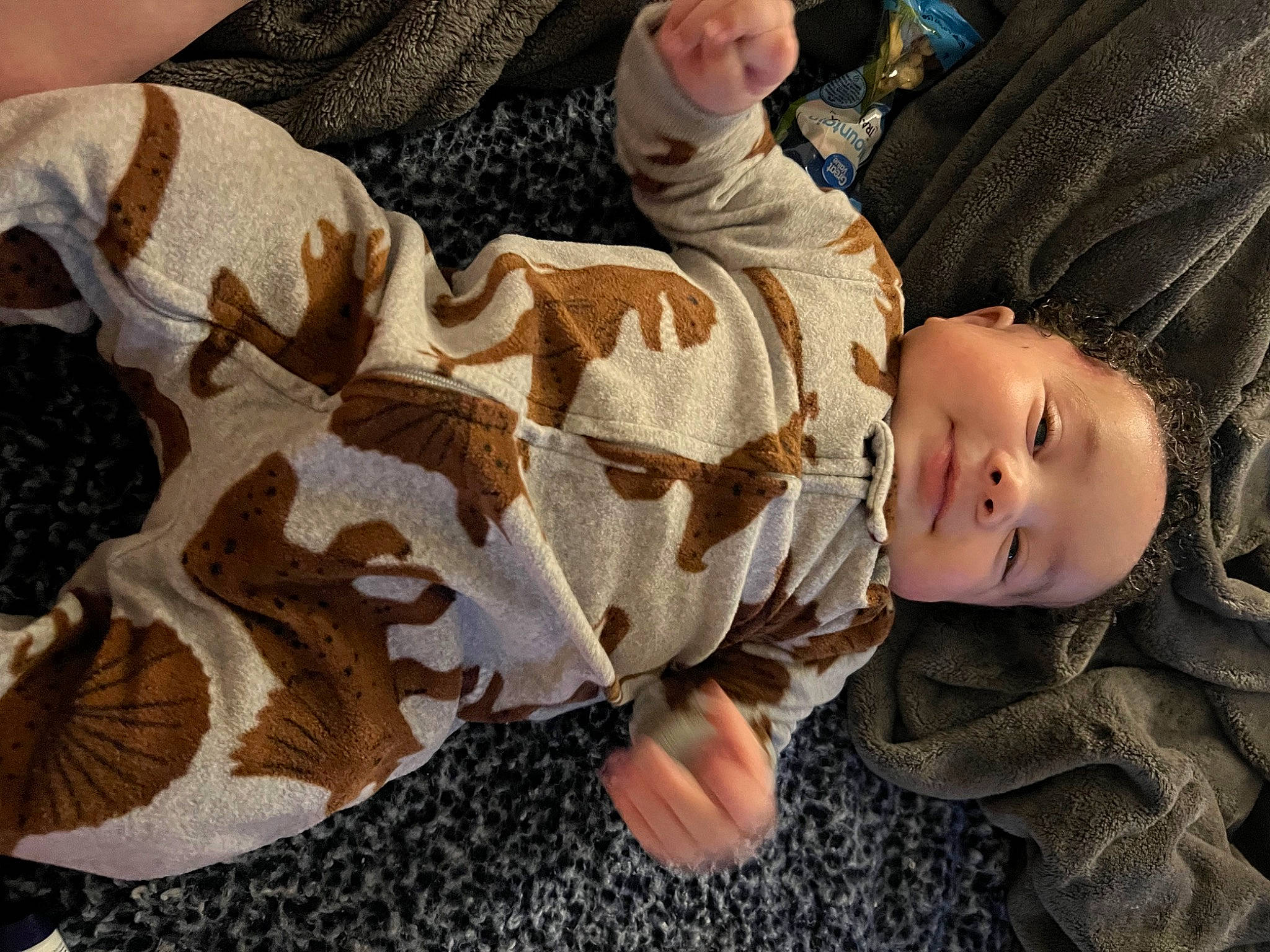 Josiah is registered to the contest to win money with this photo: baby, baby_toddler_clothing, child, comfort, face, flooring, fun, fur, grass, happy, linens, pattern, person, plant, portrait_photography, sitting, toddler, tree, wood