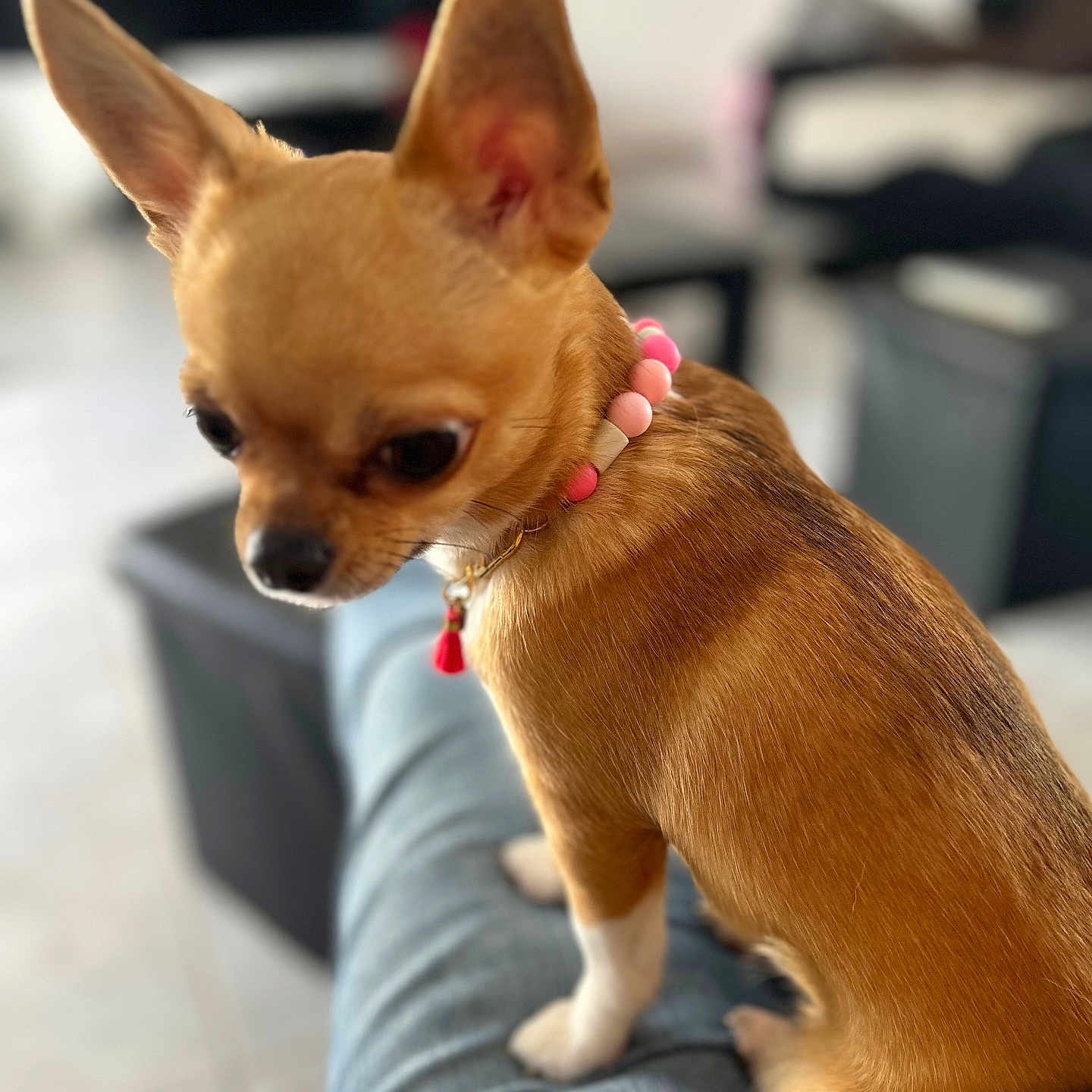 Tinny