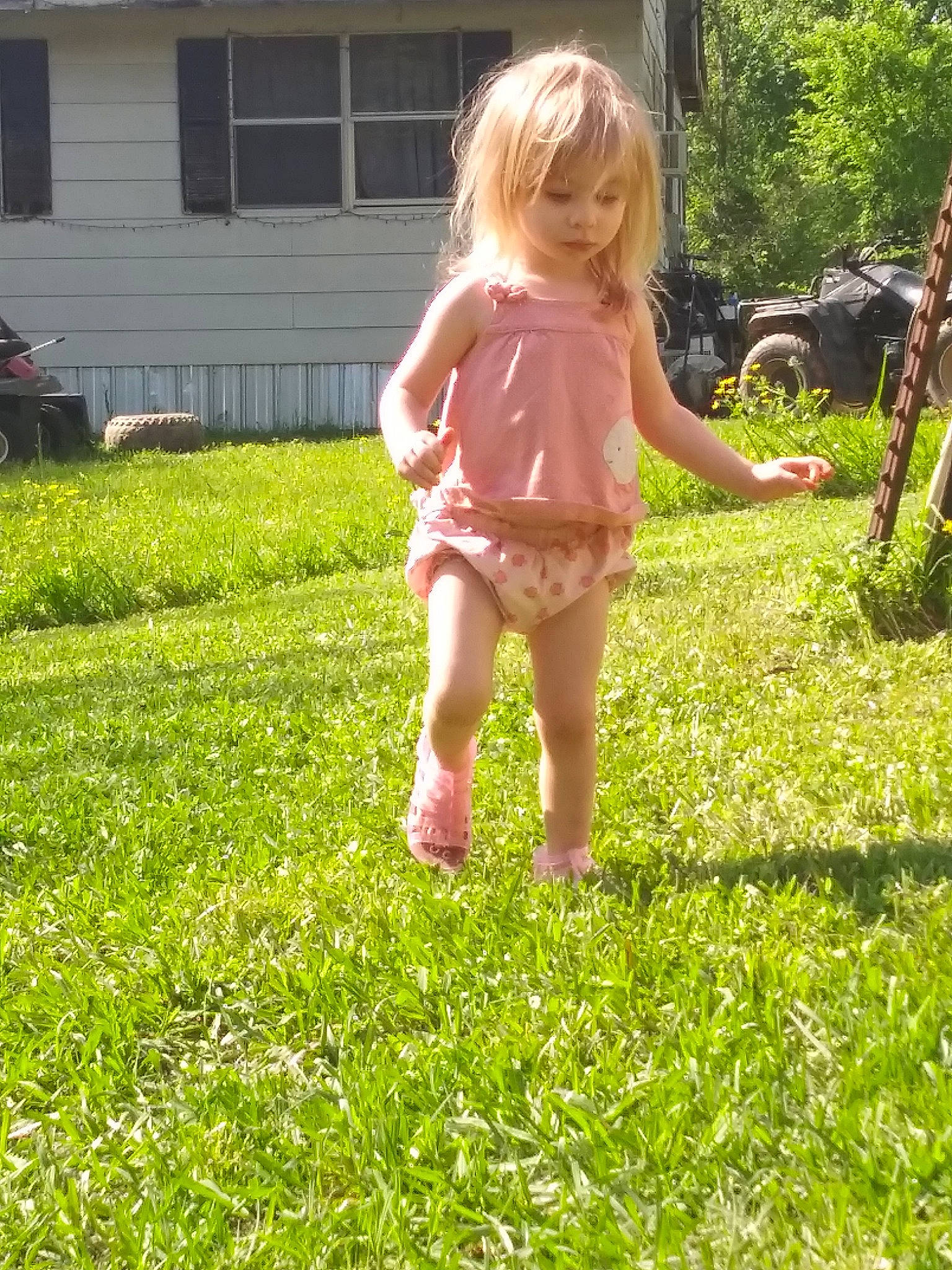 Audrey joined the competition — help win amazing prizes! backyard, child, fawn, grass, grass_family, lawn, meadow, person, plant, play, summer, toddler, walking, yard