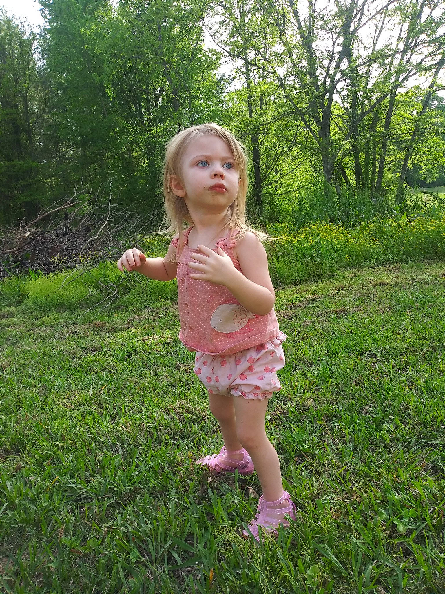 Audrey joined the competition — help win amazing prizes! child, dress, finger, fun, grass, grass_family, green, happy, meadow, people_in_nature, person, pink, plant, smile, summer, toddler, tree, vacation, wildflower