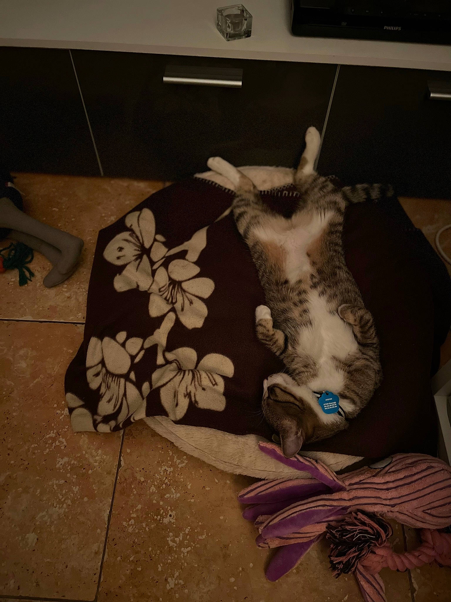 Steven participe au concours pour gagner de l'argent avec cette photo : art, fashion_accessory, feather, fish, flooring, flower, fur, grey, illustration, linens, painting, paper, pattern, petal, picture_frame, room, tail, visual_arts, wing, wood