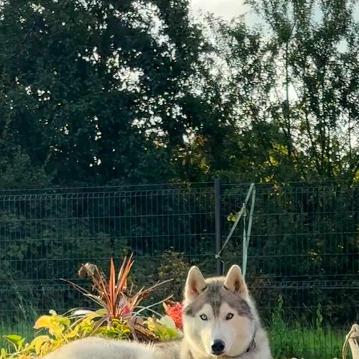 Talko
