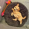 animal, bed, cozy, curly_fur, cute, dog, fluffy, fur, indoor, pet, pet_bed, playpen, plush_toy, puppy, relaxing, resting, small_dog, soft, toy, young_dog