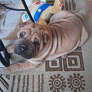 Handy participe au concours pour gagner de l'argent avec cette photo :