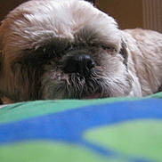 Boy-boy participe au concours pour gagner de l'argent avec cette photo :