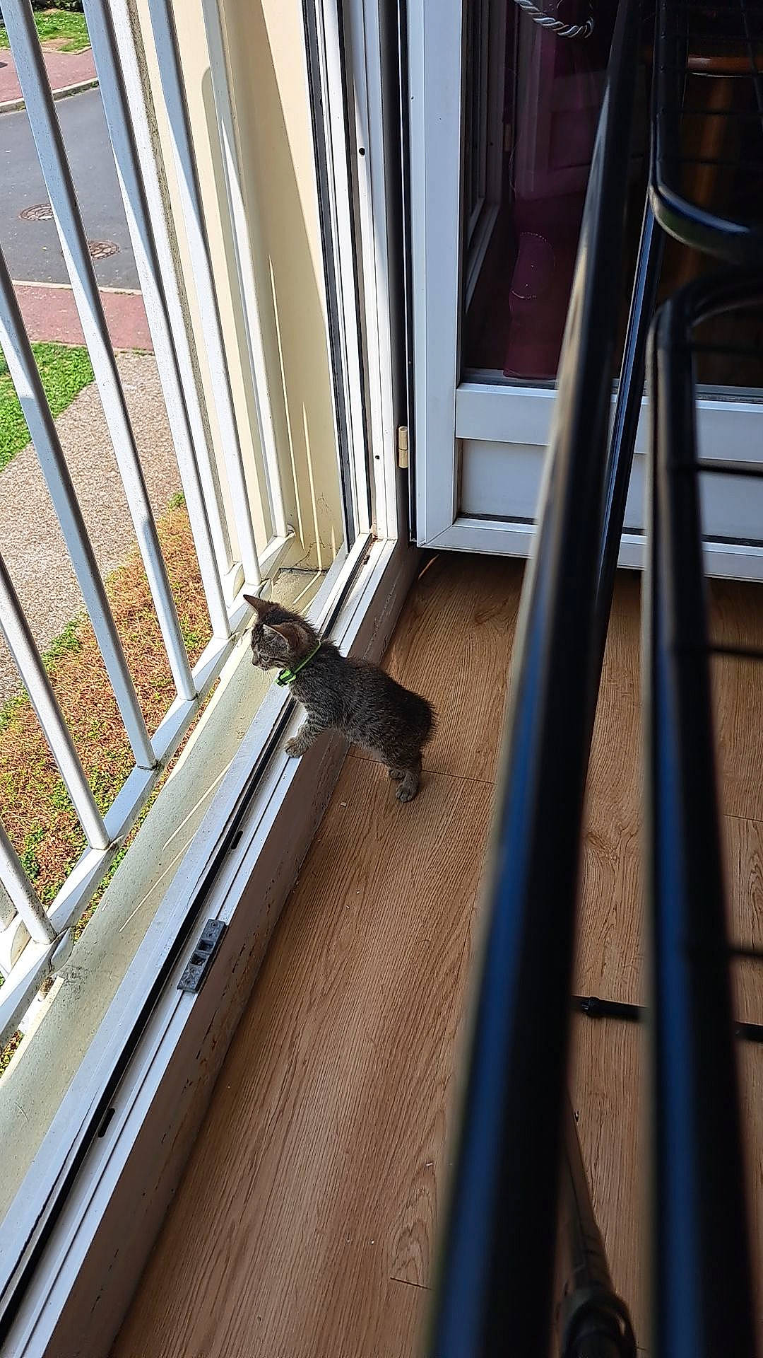 Stella a rejoint le concours — aidez-le/la à gagner de superbes lots ! building, door, fixture, floor, flooring, glass, handrail, hardwood, house, material_property, metal, plant, roof, room, sash_window, stairs, steel, window, wood, wood_stain