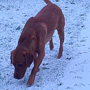 Arthur joined the competition — help win amazing prizes!