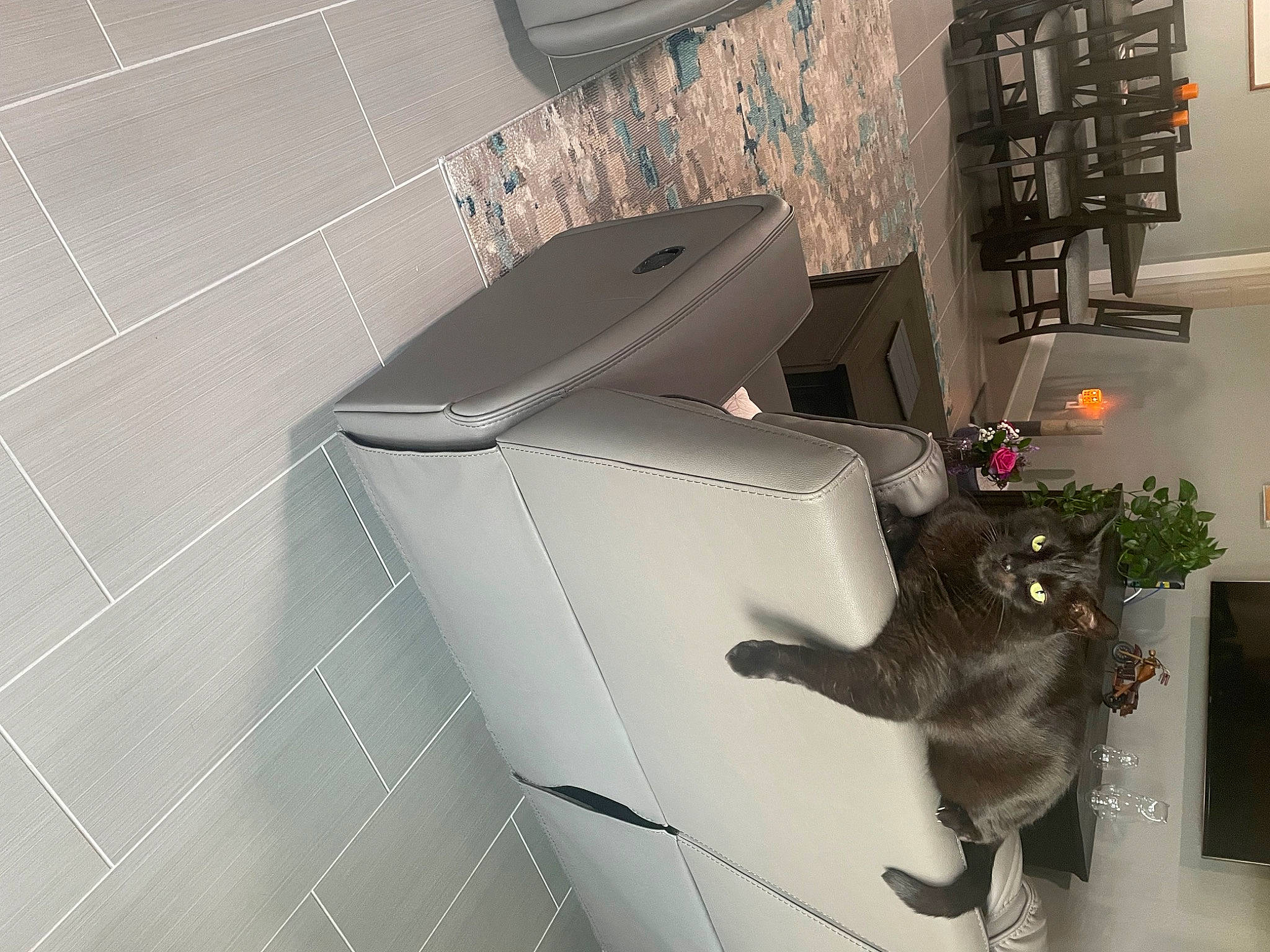 Bill is registered to the contest to win money with this photo: art, automotive_design, carmine, fictional_character, floor, flooring, flower, flowerpot, houseplant, machine, metal, plant, room, space, tail, vehicle_door