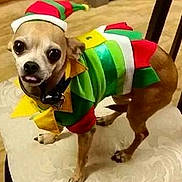 Razor is registered to the contest to win money with this photo: