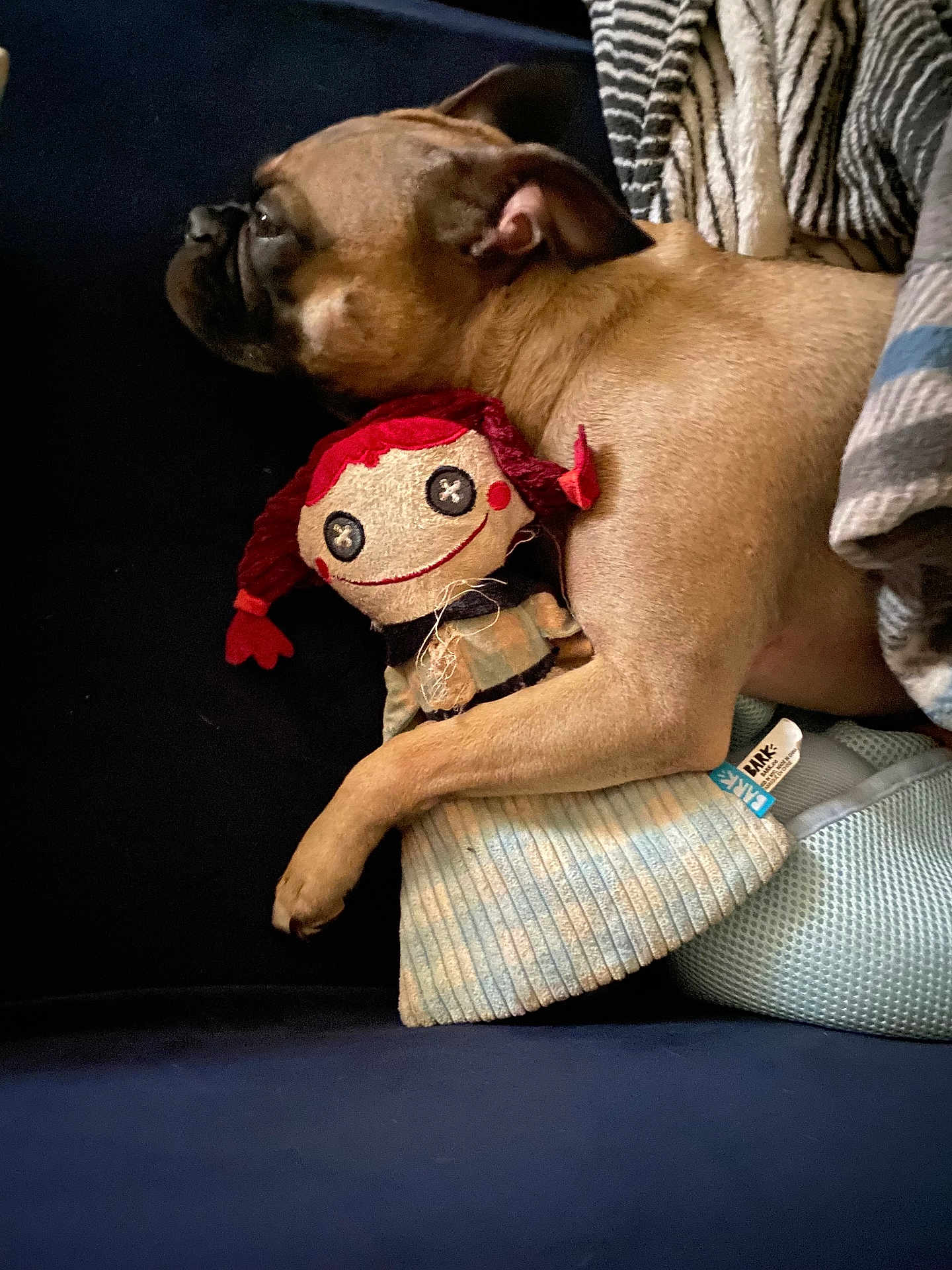 Penny