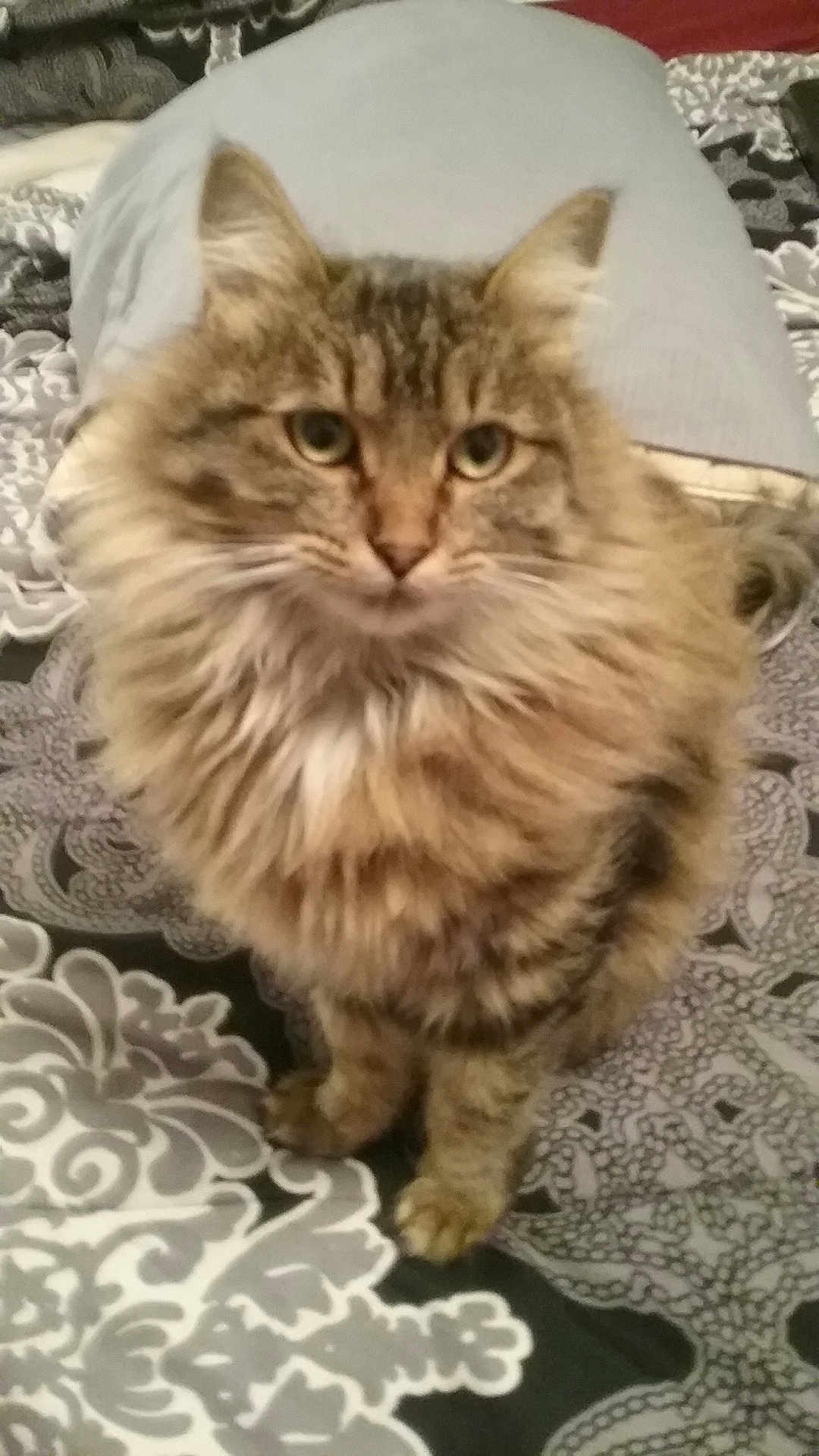 Zoe