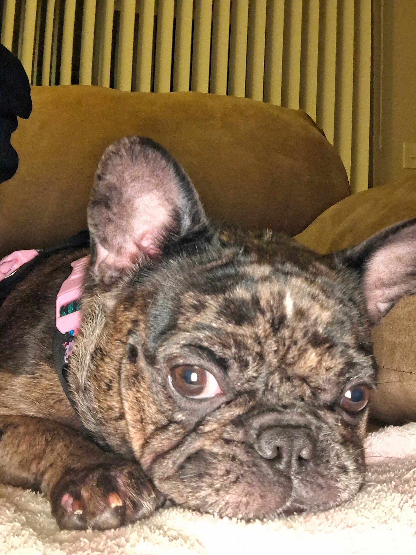 Pebbles