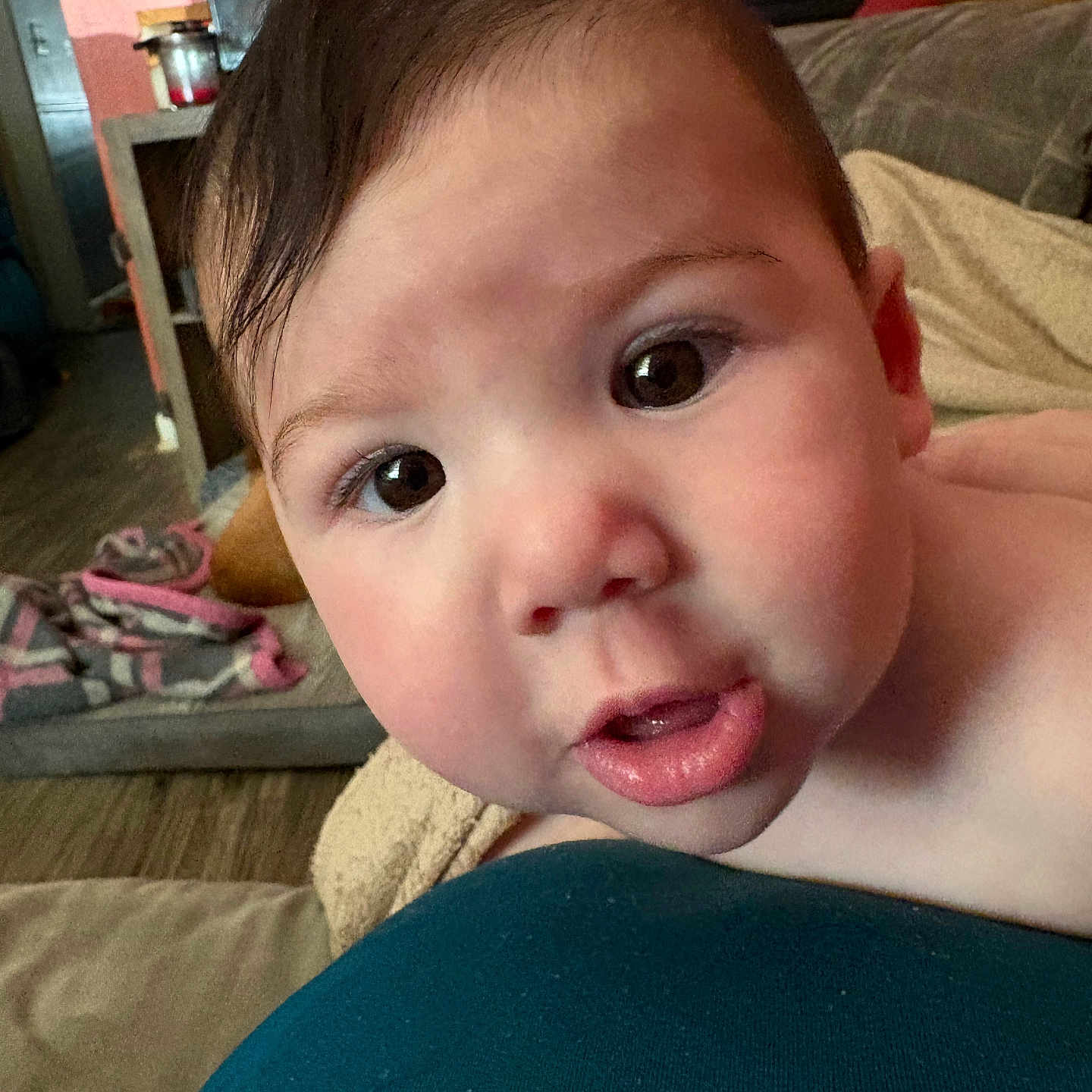 Emily is registered to the contest to win money with this photo: baby, child, infant, portrait, close_up, face, wide_eyes, curious, indoors, living_room, couch, blanket, adult, shoulder, brown_hair, light_skin, sitting, home, photography, cozy