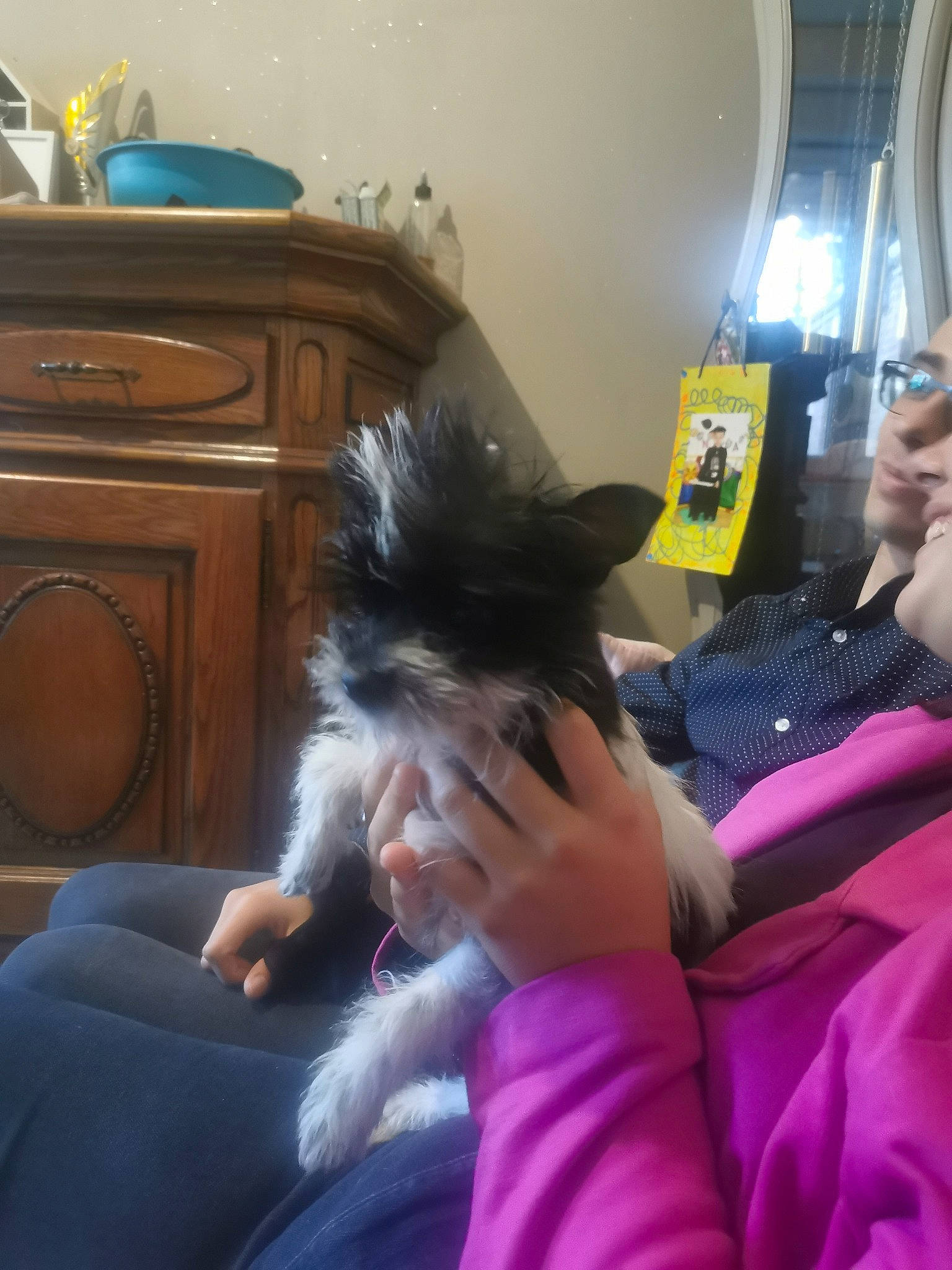 Taalys participe au concours pour gagner de l'argent avec cette photo : black_hair, cabinetry, carnivore, comfort, companion_dog, dog, dog_breed, drawer, eyewear, felidae, flooring, fur, gesture, home_appliance, lap, long_hair, small_to_medium_sized_cats, toy_dog, whiskers, window