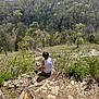 child, forest, nature, outdoor, hill, rocks, trees, sky, scenery, greenery, boy, sitting, sunlight, daytime, landscape, casual_clothing, adventure, exploration, relaxation, wilderness