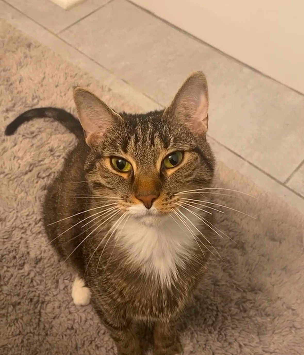 Milo