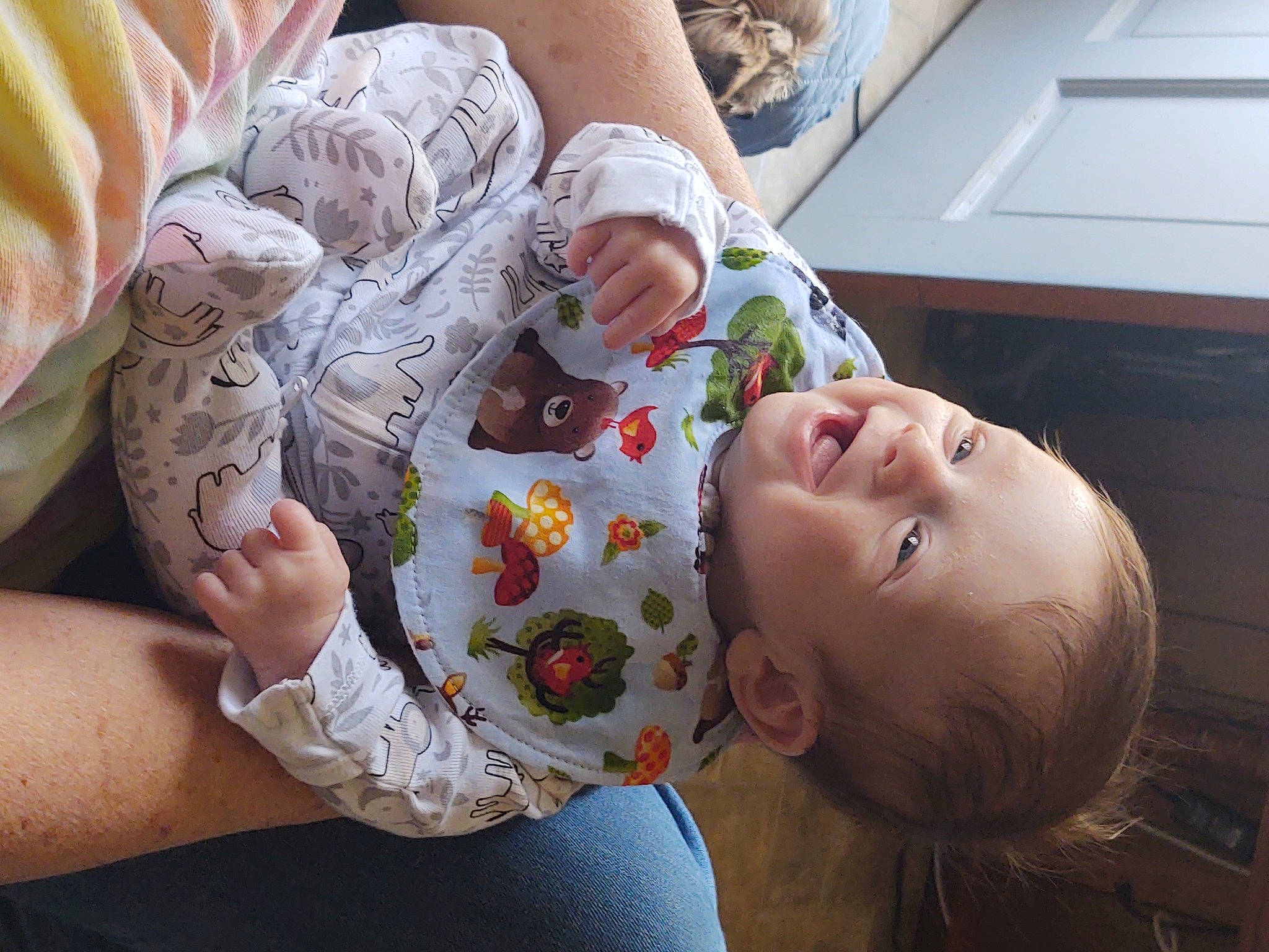 Darrell joined the competition — help win amazing prizes! arm, baby, comfort, finger, hairstyle, hand, happy, head, human, human_body, leg, mammal, mouth, nose, orange, person, skin, smile, toddler, vertebrate