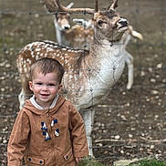 Julyann Lemier a rejoint le concours — aidez-le/la à gagner de superbes lots ! animal, antlers, brown_jacket, casual_clothing, child, cute, daylight, deer, dirt, fence, forest, grass, jeans, nature, outdoor, portrait, smiling, toddler, wildlife, young_child