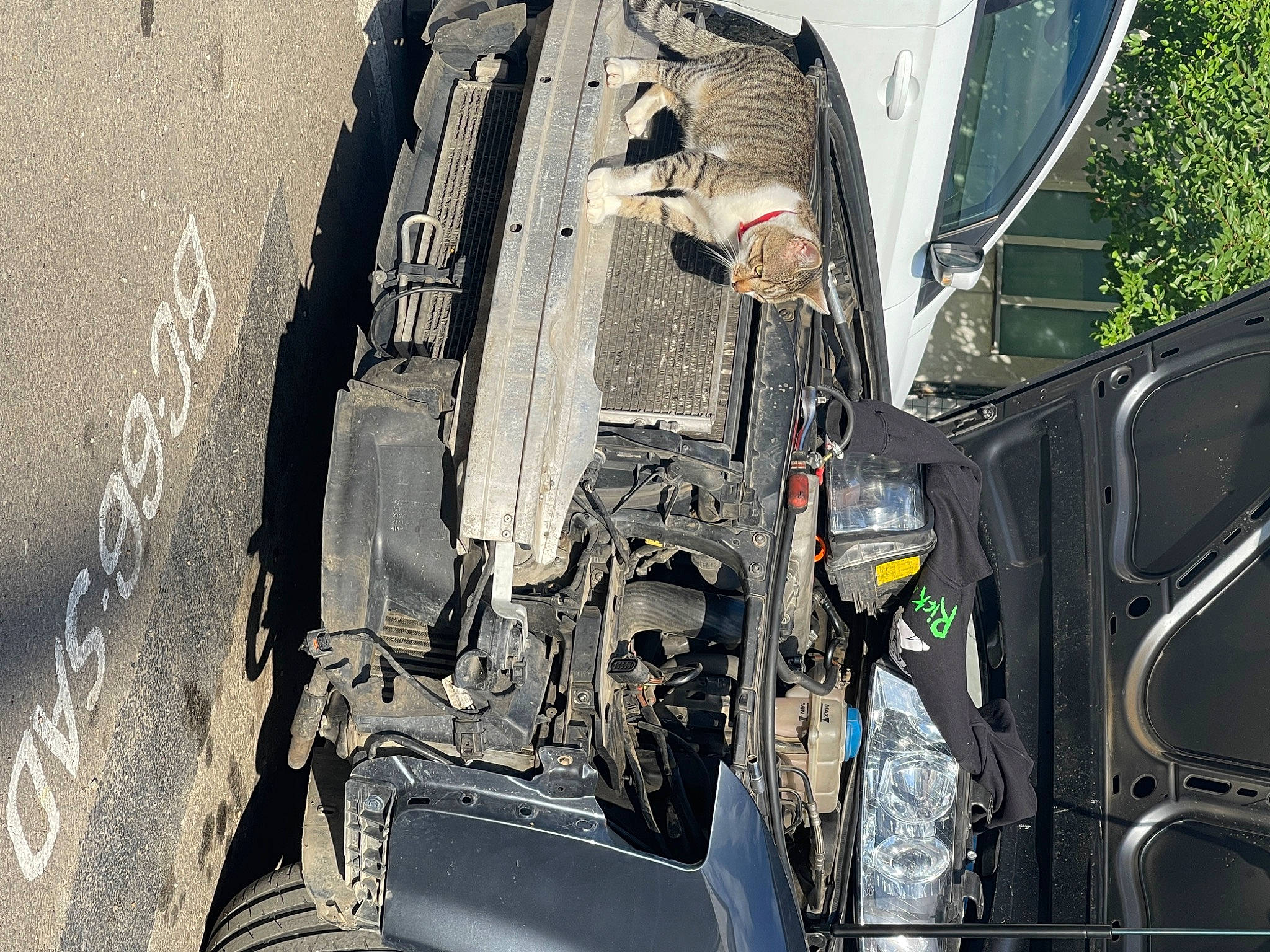 Thomas is registered to the contest to win money with this photo: asphalt, auto_part, automotive_design, automotive_exterior, automotive_lighting, automotive_tire, automotive_wheel_system, automotive_window_part, bumper, car, fender, hood, motor_vehicle, road_surface, tire, tread, vehicle, vehicle_door, wheel, windshield