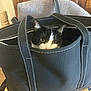 cat, black_and_white_cat, tote_bag, bag, chair, wooden_chair, cushion, indoor, pet, animal, curious, eyes, cozy, furniture, home, domestic, peek, hiding, soft, closeup