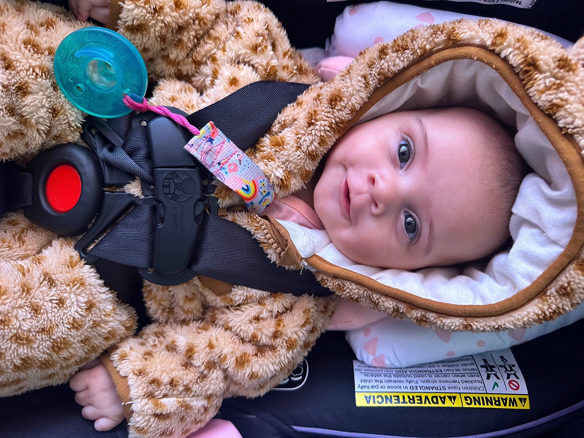 Kaidence joined the competition — help win amazing prizes! baby, baby_products, baby_toddler_clothing, beanie, child, comfort, fashion_accessory, fur, happy, hat, linens, mammal, pattern, person, portrait_photography, product, smile, textile, toddler, tree