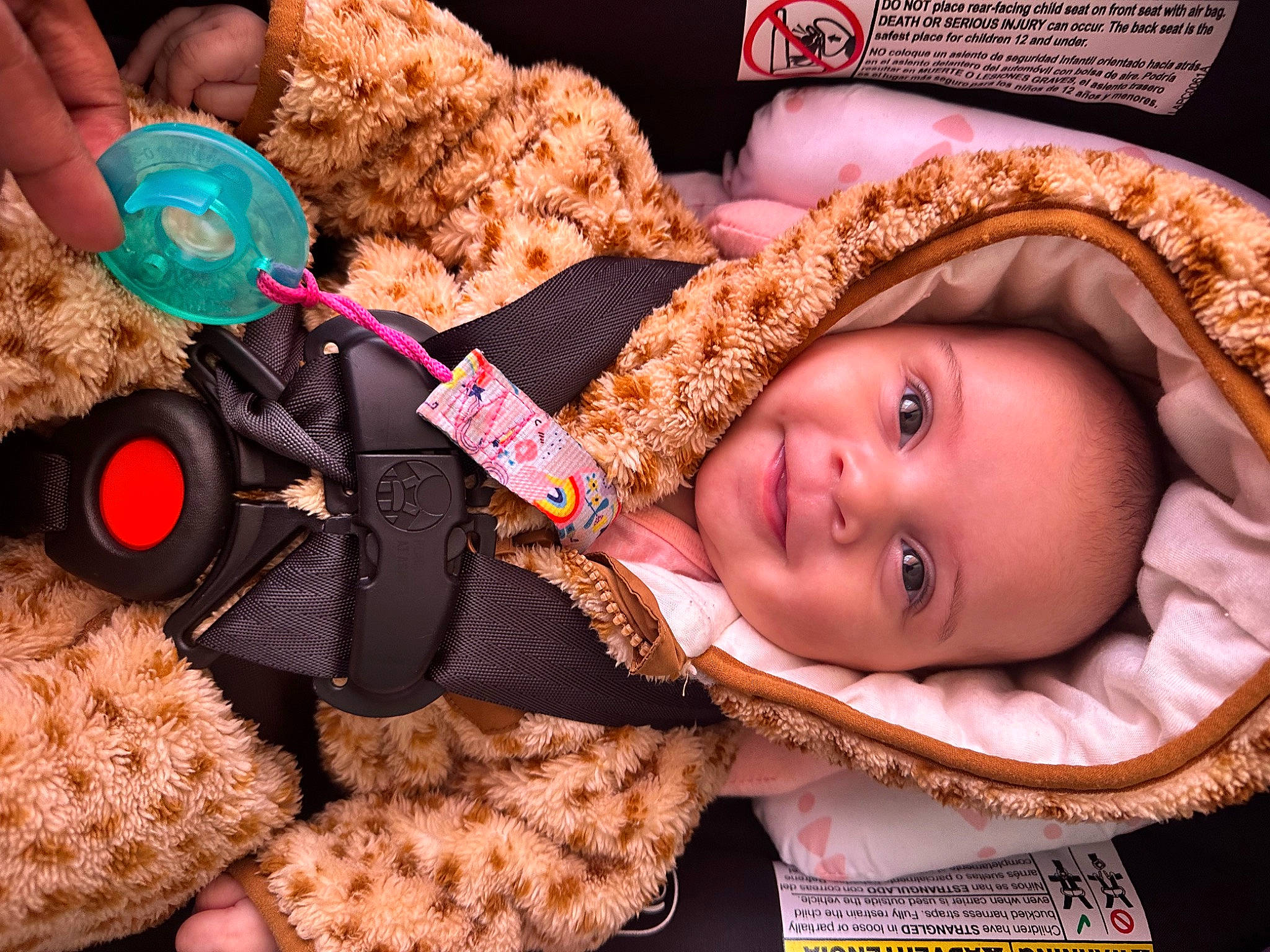 Kaidence joined the competition — help win amazing prizes! baby, baby_toddler_clothing, cap, child, fashion_accessory, finger, fun, hand, happy, hat, headgear, lip, magenta, person, pink, skin, smile, stuffed_toy, toddler, tree